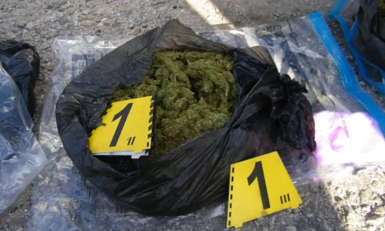 Гранична полиция разби наркогрупа в Благоевградско, 7 задържани (СНИМКИ) - Tribune.bg