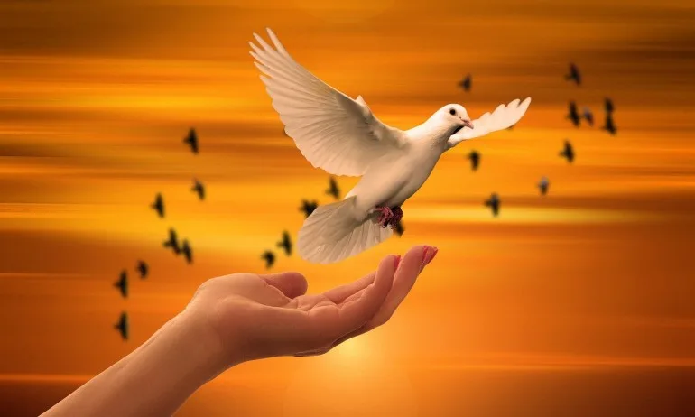 Поверия: Какво ви очаква, ако храните птиците - Tribune.bg