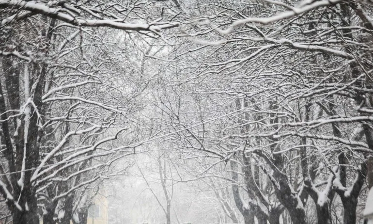Зимата се завърна, България е покрита със снежна покривка - Tribune.bg