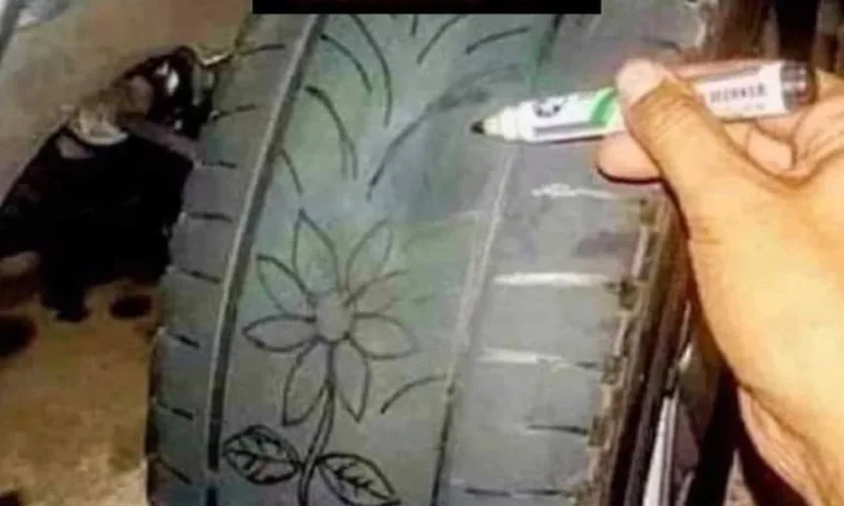 Ноември е! Шофирам по къси гащи, но със зимни гуми - Tribune.bg