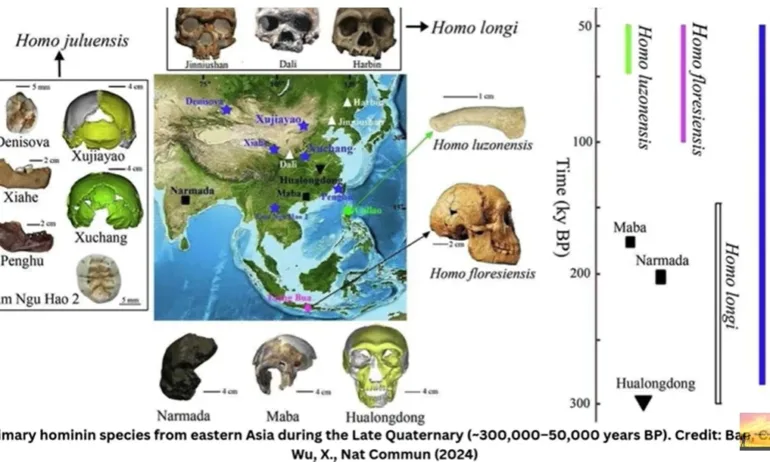 Откриха нов вид човек с голяма глава – Homo juluensis - Tribune.bg