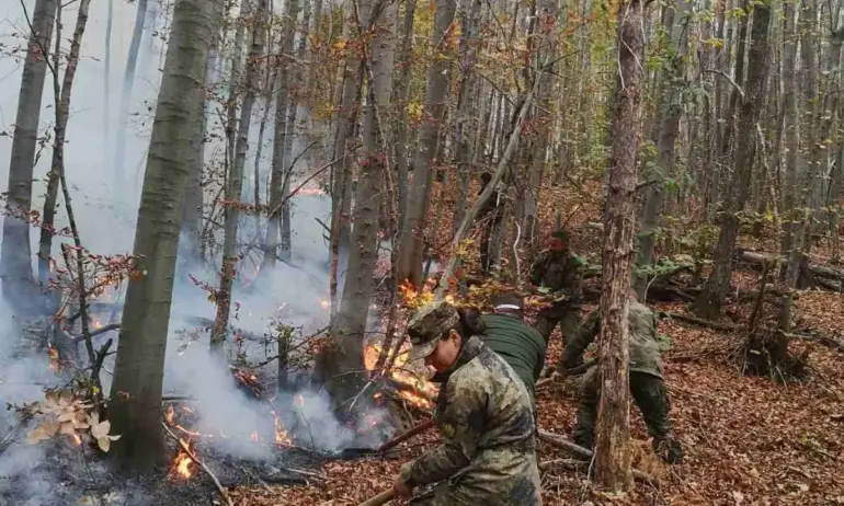 Овладян е пожарът край пловдивското с. Искра - Tribune.bg