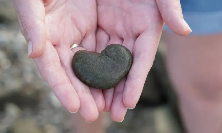 Тандемът Сърце – Анахата чакра - Tribune.bg