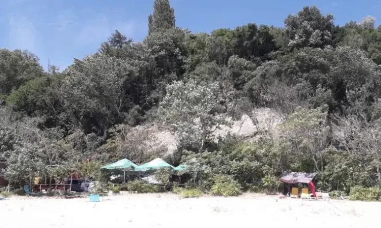 Свлачището край Албена все още е активно и опасно - Tribune.bg