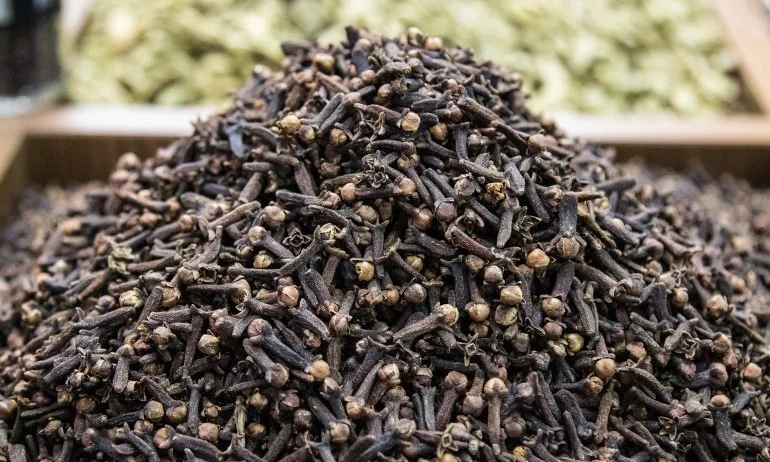 Защо трябва да дъвчем карамфил редовно? - Tribune.bg