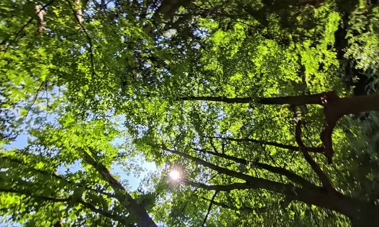 Слънчев уикенд с максимални температури между 22 и 27 градуса - Tribune.bg