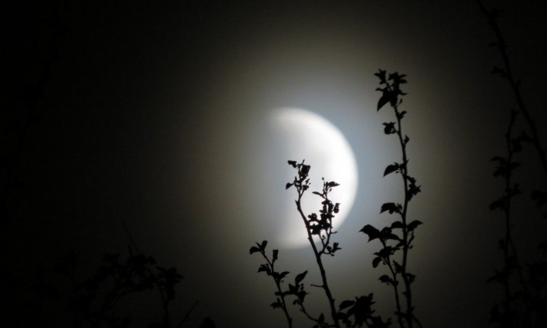 Пълнолуние с частично лунно затъмнение на 19 ноември - Tribune.bg