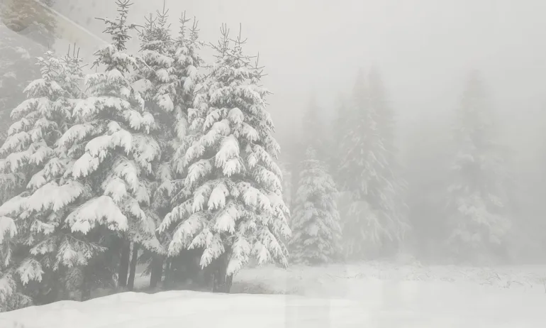 В Пампорово натрупа над 30 см. сняг - (СНИМКИ) - Tribune.bg