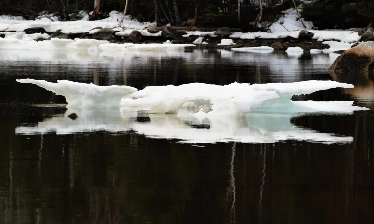 2019 г. е била най-горещата в Европа досега, бяха счупени много температурни рекорди - Tribune.bg