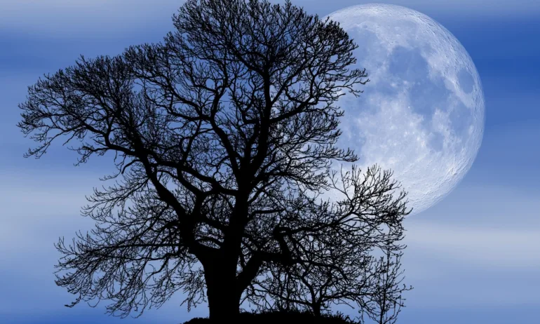 Пълнолуние във Везни - Tribune.bg