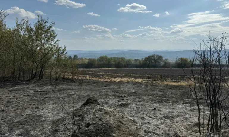 Пожар избухна край Военния университет във Велико Търново - Tribune.bg