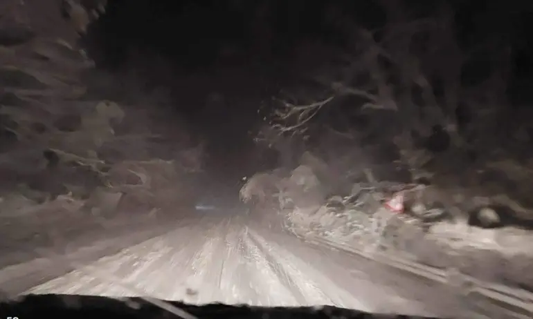 Диана Русинова: АПИ се провалиха със зимното почистване тотално - Tribune.bg