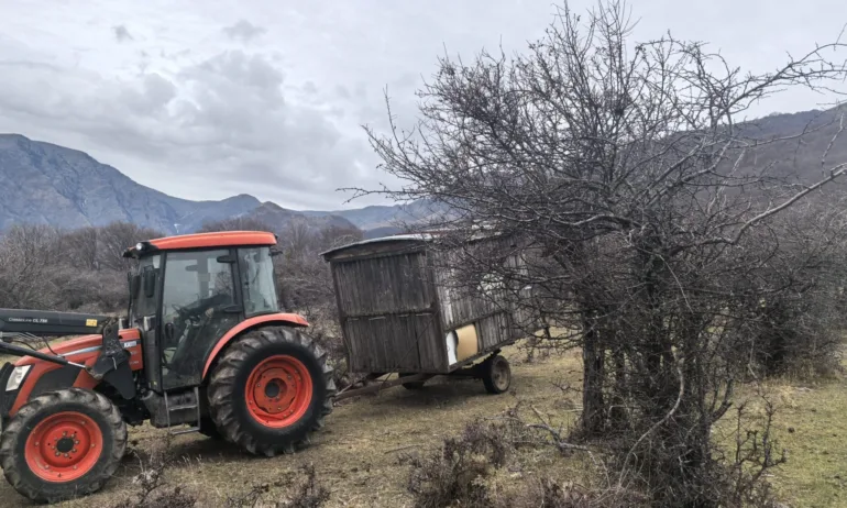 Останки от мъртви селскостопански животни са открити в резерват Джендема - Tribune.bg