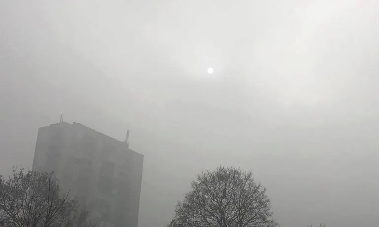 Д-р Симидчиев: Една печка на твърдо гориво замърсява колкото 18 автомобила - Tribune.bg