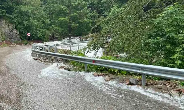 През прохода Петрохан ще бъде ограничено движението на камиони над 12 тона - Tribune.bg