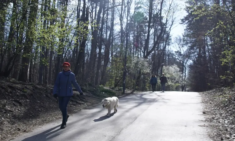 Слънчево начало на седмицата - Tribune.bg