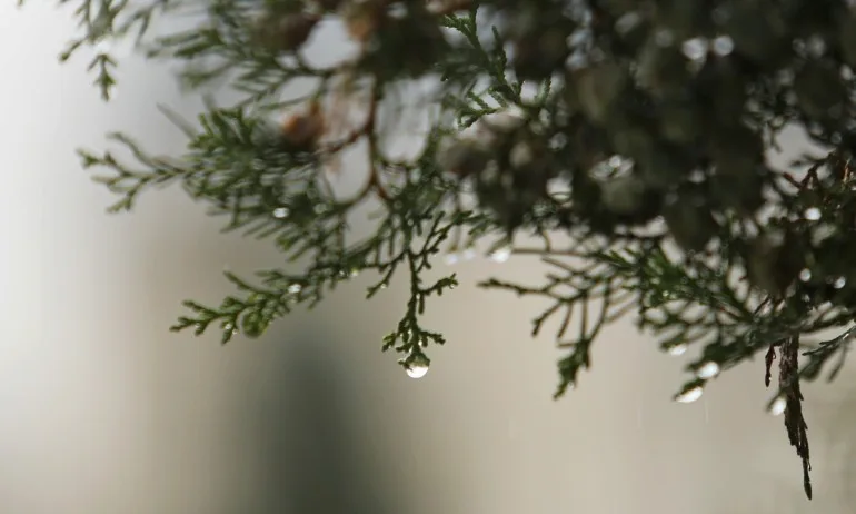 Проливните валежи продължават в цялата страна - Tribune.bg