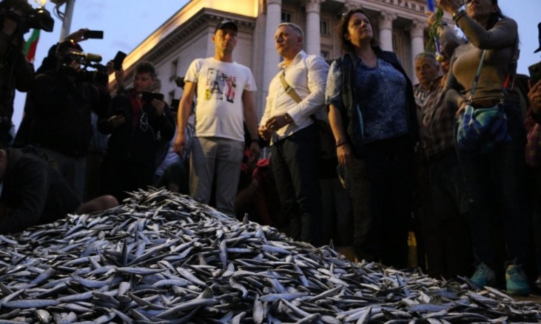 Георг Георгиев за протестите: Не заемам страна, но не понасям безочливата наглост - Tribune.bg