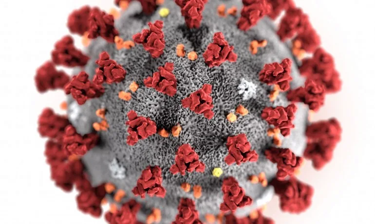 В опит да установят произхода на COVID-19 експерти на СЗО ще посетят Китай - Tribune.bg