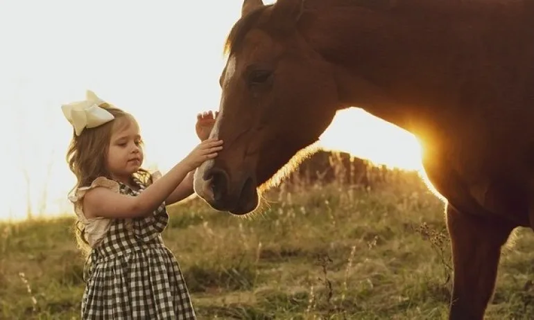 Тодоровден е! - Tribune.bg