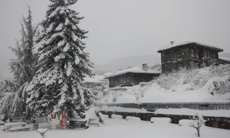 Зимата се завръща отново. Очаква се сняг през следващите дни - Tribune.bg