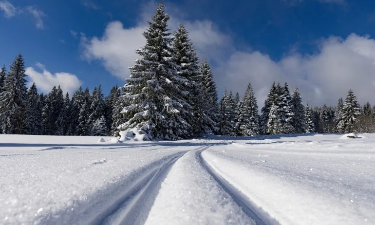 МВР публикува практически препоръки за безопасност по празниците - Tribune.bg