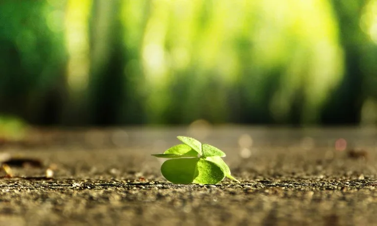 Бъди благодарен, прощавай на хората, обичай повече, обвинявай по-малко… - Tribune.bg