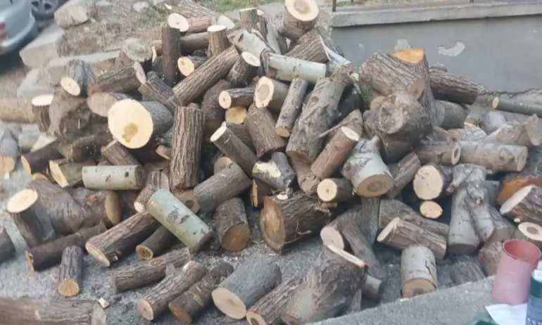 Благоевград продължава да предоставя дървесина за огрев на хора в нужда - Tribune.bg