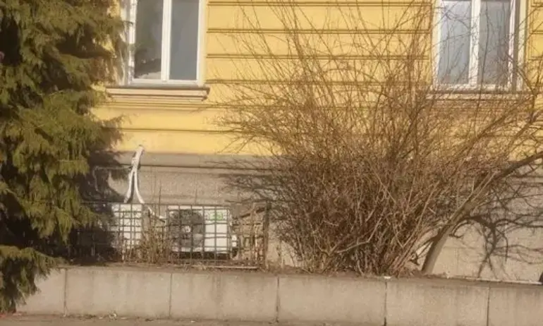 Тома Биков: От фасадата на Националната художествена галерия расте дърво - мърлящина и безотговорност - Tribune.bg