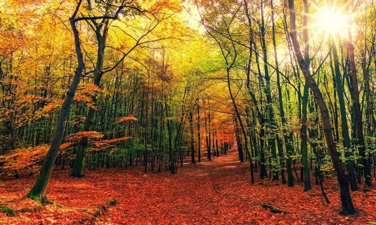 Магическото време на есенното равноденствие - Tribune.bg