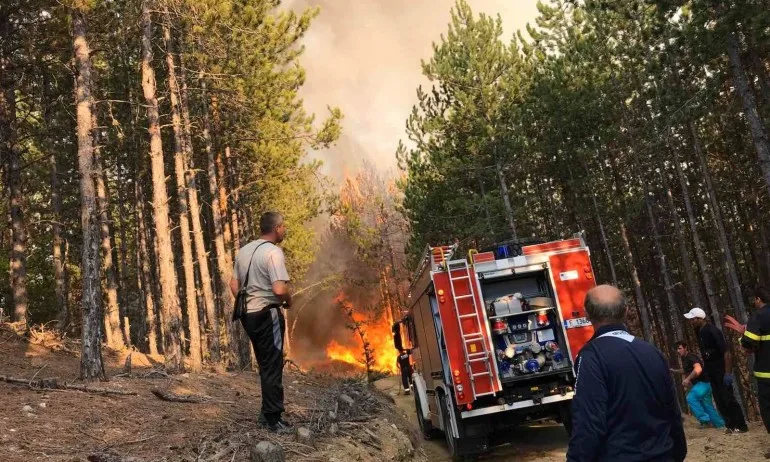 Локализираха големия горски пожар в Сакар - Tribune.bg