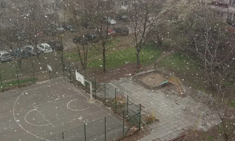Пролет ли? Сняг на парцали се изсипа във Варна (ВИДЕО) - Tribune.bg