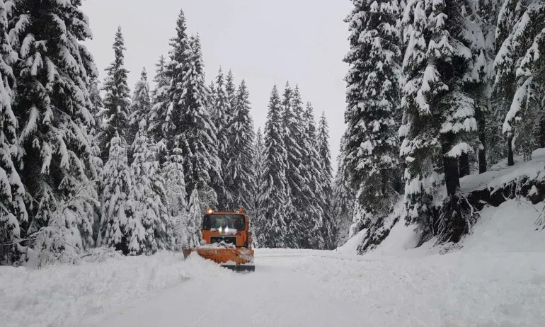 Оранжев и жълт код за сняг и дъжд в цялата страна - Tribune.bg