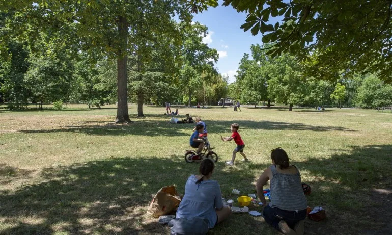 Жълт код в 16 области: Температури до 39 градуса - Tribune.bg