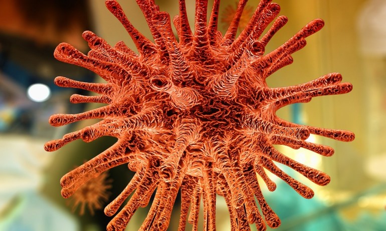 Дете с придружаващи заболявания и с COVID-19 е починало в Русенско - Tribune.bg