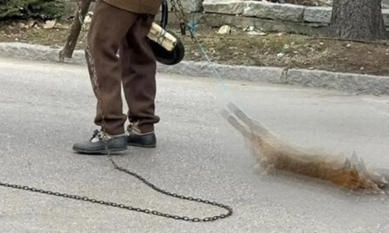 Мъж влачи лисица на кукерския фест в Разлог. Общината: Препарирана е, не е жива - Tribune.bg