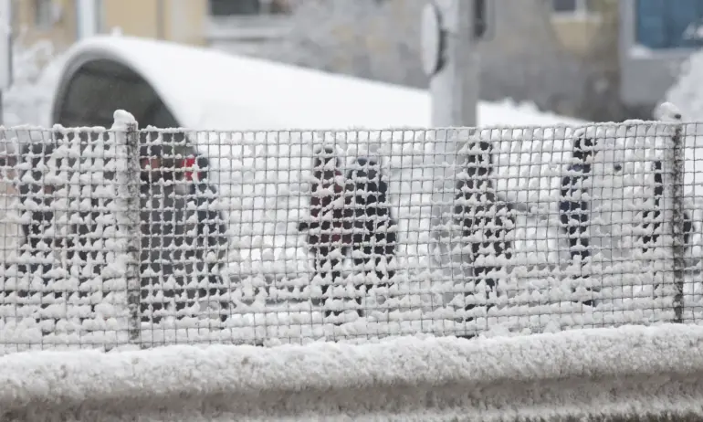 Бедствено положение за 48 часа е обявено в община Омуртаг - Tribune.bg