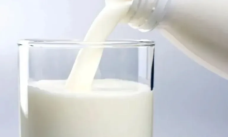 Фермери от Хасково на протест заради ниската изкупна цена на млякото - Tribune.bg