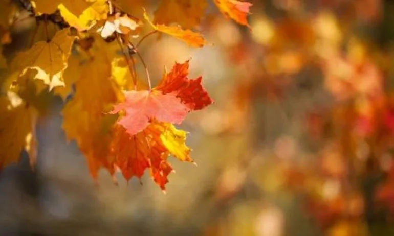 Времето остава топло с температури до 25 градуса - Tribune.bg