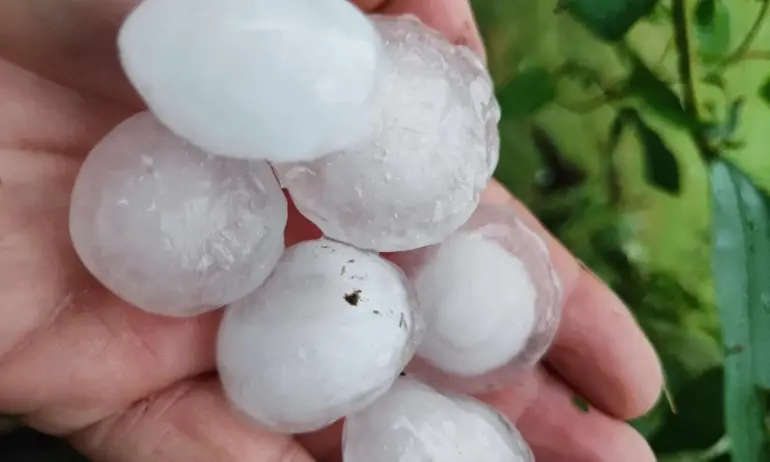 Пострадалите от градушката стопани подават заявления за обезщетения до 14 май - Tribune.bg