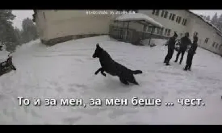 Стотици часове записи от хижа Петрохан остават необработени - Tribune.bg