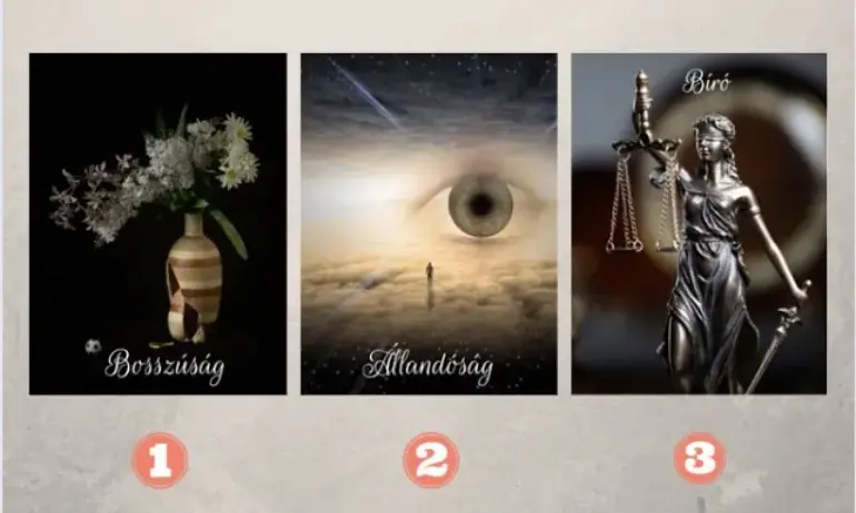 Вашето послание (тест) - Tribune.bg