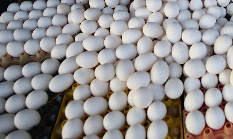 Калциева вода от яйчени черупки - Tribune.bg