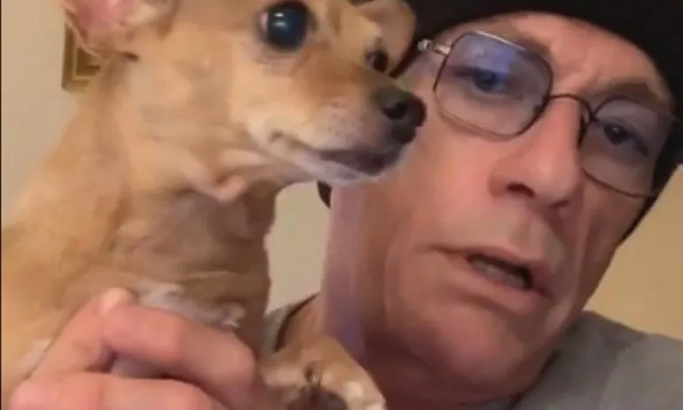 Ветеринарният съюз започва свое разследване по случая с малкото куче Рая - Tribune.bg