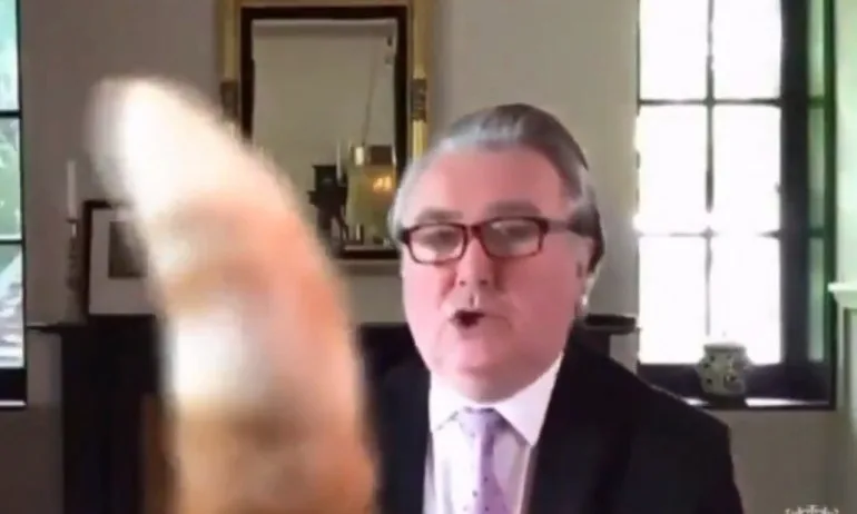 Заседание в британския парламент беше прекъснато от котка (ВИДЕО) - Tribune.bg