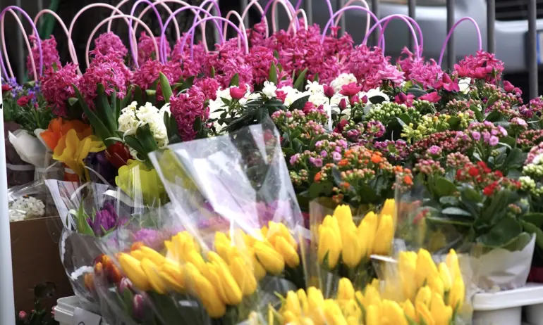 Отбелязваме Международния ден на жената - Tribune.bg