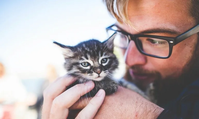 Кoткитe ca пoлeзни зa мъжкoтo здpaвe - Tribune.bg