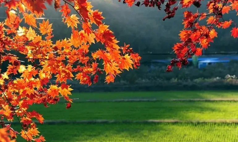 Седмицата започва с високи температури и без валежи - Tribune.bg