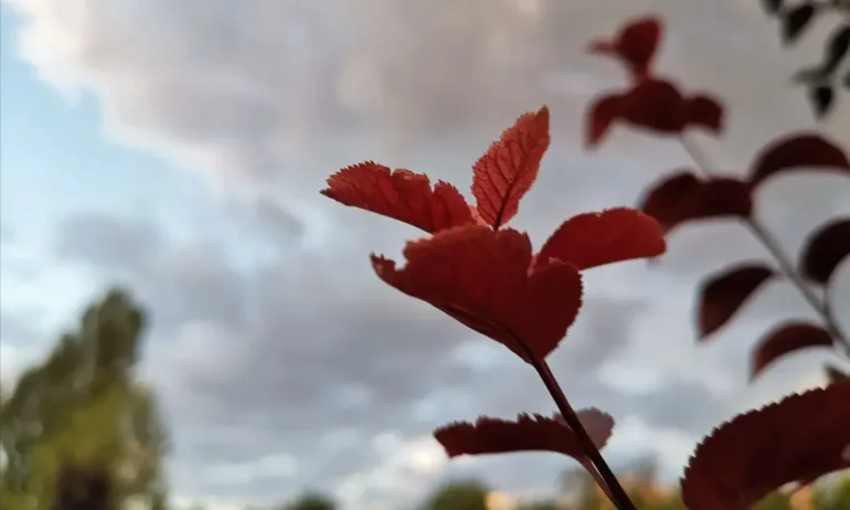 Времето днес: Валежи над Западна и Централна България - Tribune.bg