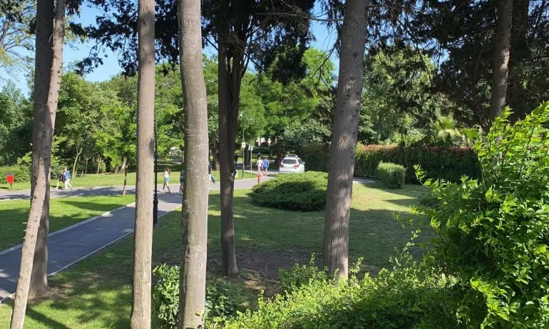 ГЕРБ с позиция за предизборната употреба на Морската градина от ДБ - Tribune.bg